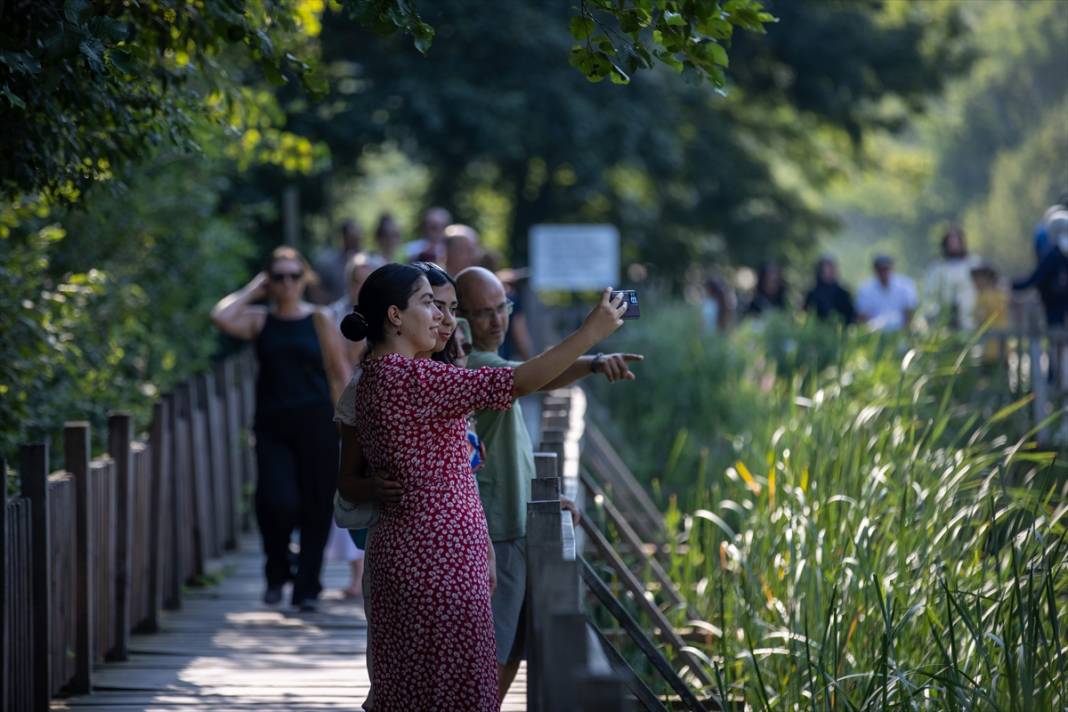 Türkiye’nin en büyük tek parça subasar ormanı 4